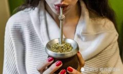 巴西马黛茶