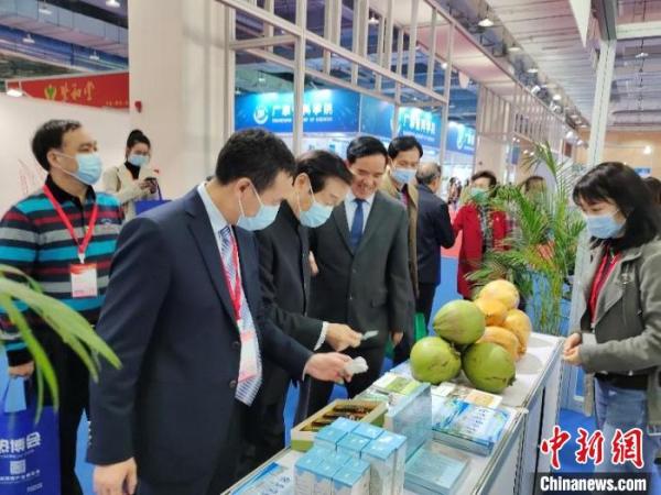 领导嘉宾参观中国热带农业科学院产品展区 中国热带农业科学院 供图 领导嘉宾参观中国热带农业科学院产品展区 中国热带农业科学院 供图