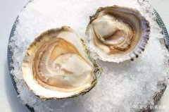 <b>新西兰布拉夫牡蛎</b>