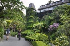 <b>惠灵顿植物园</b>