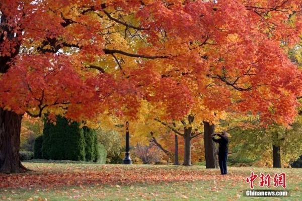 资料图:金秋时节加拿大各地正迎来赏枫季。图为10月15日,加拿大首都渥太华,游人在总督府内欣赏秋日景色。<a target='_blank' data-cke-saved-href='http://www.chinanews.com/' href='http://www.chinanews.com/'>中新社</a>记者 余瑞冬 摄 资料图:金秋时节加拿大各地正迎来赏枫季。图为10月15日,加拿大首都渥太华,游人在总督府内欣赏秋日景色。<a target='_blank' data-cke-saved-href='http://www.chinanews.com/' href='http://www.chinanews.com/'>中新社</a>记者 余瑞冬 摄