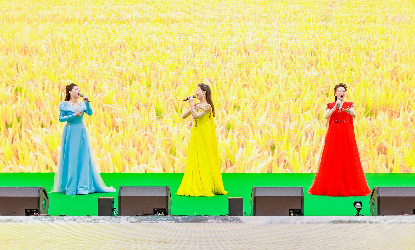 干武东:以音乐为媒,奏响美丽乡村蝶变华章,向世界讲好中国故事