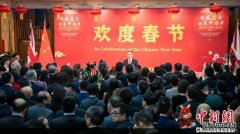 2024年“温暖迎春 共庆中国年” 新春招待会在伦敦举行