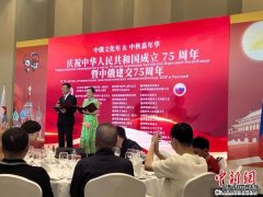 旅俄侨界举行国庆中秋嘉年华活动